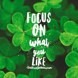 focus on what you like